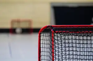 Hokej U20